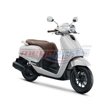 ชุดสี GIORNO+ 125 2024 (ABS) (HONDA) รถสีขาว-ดำ W-B