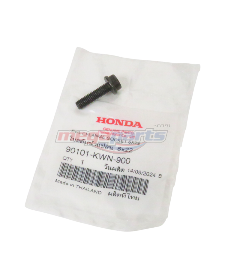BOLT,FLANGE SOCKET 6X22 WW125