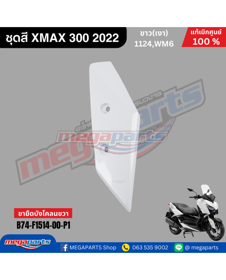 ขายึดบังโคลนขวาสีขาว(1124,WM6)R B746