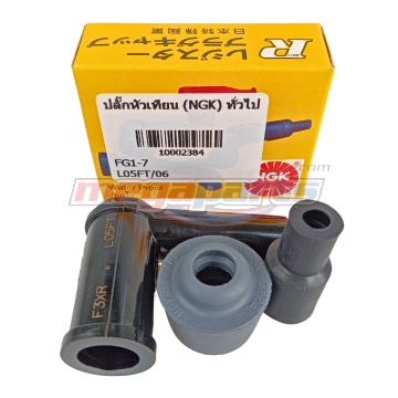 ปลั๊กหัวเทียน (NGK) ทั่วไป