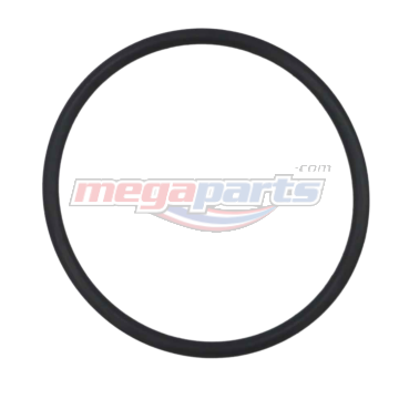 โอริง BS91